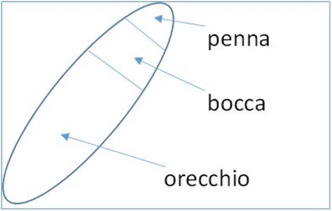 FIG. 1 L’insieme dei vocaboli che un ragazzo intende